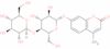 4-Methylumbelliferyl β-cellobioside