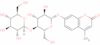 4-methylumbelliferyl B-D-cellobioside