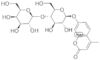 4-methylumbelliferyl-beta-D-lactoside