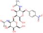 4-Nitrophenyl 2-(acetylamino)-4-O-[2-(acetylamino)-2-desoxyhexopyranosyl]-2-desoxyhexopyranosid