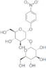 4-Nitrophenyl2-O-(a-D-glucopyranosyl)-a-D-glucopyranoside