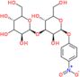 4-Nitrophenyl 3-O-β-D-glucopyranosyl-β-D-glucopyranoside