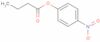 p-Nitrophenyl butyrate