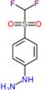 {4-[(difluoromethyl)sulfonyl]phenyl}hydrazine