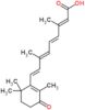 4-oxoretinoic acid