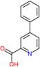 4-phenylpyridine-2-carboxylic acid