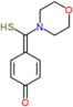 4-[morpholin-4-yl(sulfanyl)methylidene]cyclohexa-2,5-dien-1-one