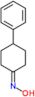 N-hydroxy-4-phenylcyclohexanimine