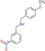 1-(4-methoxyphenyl)-N-(3-nitrobenzyl)methanamine