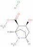 ecgonine methyl ester hydrochloride*hydrate--dea