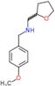 1-(4-methoxyphenyl)-N-(tetrahydrofuran-2-ylmethyl)methanamine