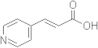 trans-3-(4-Pyridyl)acrylic acid