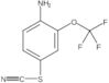 4-Amino-3-(trifluoromethoxy)phenyl thiocyanate