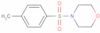 4-[(4-methylphenyl)sulphonyl]morpholine