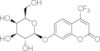 4-(trifluoromethyl)umbelliferyl-beta-D-galactopyranoside