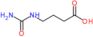 4-(carbamoylamino)butanoate