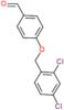 4-[(2,4-dichlorobenzyl)oxy]benzaldehyde