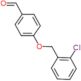 4-[(2-chlorobenzyl)oxy]benzaldehyde