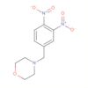 4-[(3,4-Dinitrophenyl)methyl]morpholine