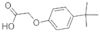 4-TERT-BUTYLPHENOXYACETIC ACID