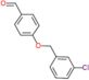 4-[(3-chlorobenzyl)oxy]benzaldehyde