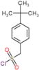 [4-(tert-butyl)phenyl]methanesulfonyl chloride