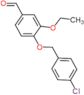 4-[(4-chlorobenzyl)oxy]-3-ethoxybenzaldehyde