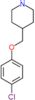 4-[(4-chlorophenoxy)methyl]piperidine