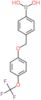 (4-{[4-(trifluoromethoxy)phenoxy]methyl}phenyl)boronic acid