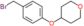 4-[4-(bromomethyl)phenoxy]tetrahydropyran