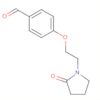 Benzaldehyde, 4-[2-(2-oxo-1-pyrrolidinyl)ethoxy]-