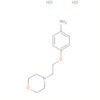 Benzenamine, 4-[2-(4-morpholinyl)ethoxy]-, dihydrochloride