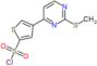 4-[2-(methylsulfanyl)pyrimidin-4-yl]thiophene-2-sulfonyl chloride