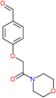 4-[2-(morpholin-4-yl)-2-oxoethoxy]benzaldehyde