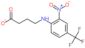 4-{[2-nitro-4-(trifluoromethyl)phenyl]amino}butanoic acid