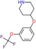 4-[3-(trifluoromethoxy)phenoxy]piperidine