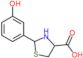 2-(3-hydroxyphenyl)-1,3-thiazolidine-4-carboxylic acid