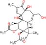 (1aR,1bS,4aS,7aS,7bS,8R,9R,9aS)-4a,7b-dihydroxy-3-(hydroxymethyl)-1,1,6,8-tetramethyl-5-oxo-1,1a,1…