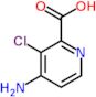 4-amino-3-chloropyridine-2-carboxylic acid