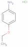 Benzenamine, 4-ethoxy-, hydrochloride (1:1)