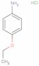 p-phenetidinium chloride