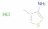 3-Thiophenamine, 4-methyl-, hydrochloride (1:1)