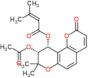 (9R,10R)-9-(acetyloxy)-8,8-dimethyl-2-oxo-9,10-dihydro-2H,8H-pyrano[2,3-f]chromen-10-yl 3-methylbu…