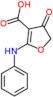 4-oxo-2-(phenylamino)-4,5-dihydrofuran-3-carboxylate