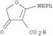 4-oxo-2-(phenylamino)-4,5-dihydrofuran-3-carboxylic acid