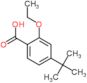 4-(1,1-Dimethylethyl)-2-ethoxybenzoic acid