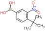 (4-tert-butyl-3-nitro-phenyl)boronic acid