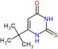 6-tert-butyl-2-thioxo-2,3-dihydropyrimidin-4(1H)-one