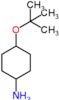 4-(1,1-Dimethylethoxy)cyclohexanamine