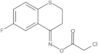 6-Fluoro-2,3-dihydro-4H-1-benzothiopyran-4-one O-(2-chloroacetyl)oxime